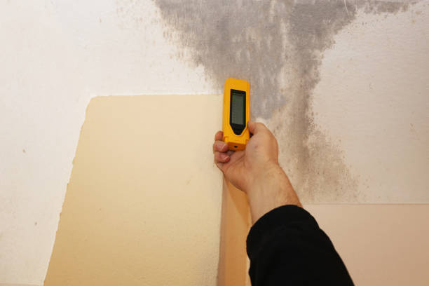 Best Comprehensive Air Testing for Mold Contaminants  in Wahoo, NE