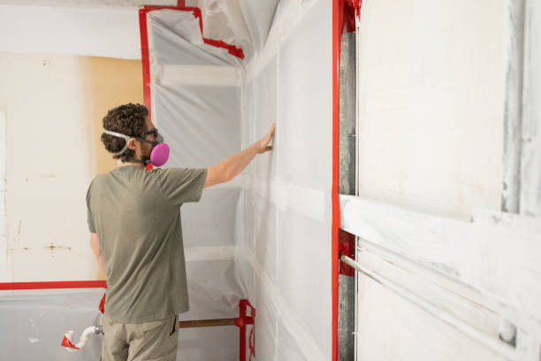 Best Real Estate Mold Inspection  in Wahoo, NE