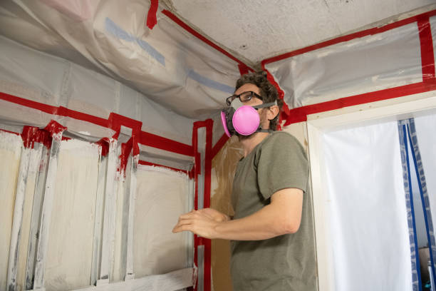 Professional Mold Removal in Wahoo, NE