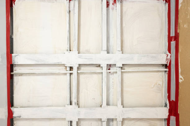 Best Asbestos and Lead Testing During Mold Inspection  in Wahoo, NE