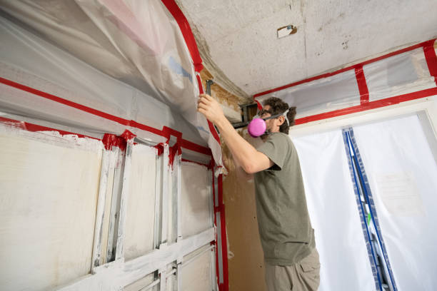 Best Mold Remediation for Healthcare Facilities  in Wahoo, NE
