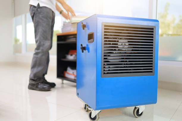 Best Air Quality Testing for Mold Spores  in Wahoo, NE