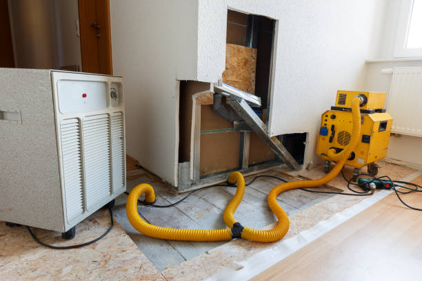 Mold Remediation for Rental Properties in Wahoo, NE
