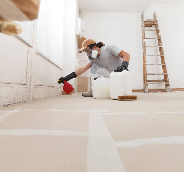 Best Forensic Mold Investigation  in Wahoo, NE